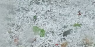 Градушката в Старозагорско унищожила 1200 дка земеделска продукция