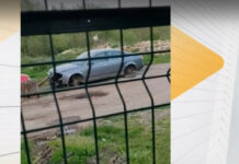 Агресивен щъркел атакува коли в Луковит – кълве калници и сваля боята