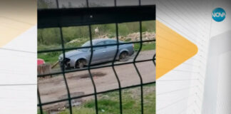 Агресивен щъркел атакува коли в Луковит – кълве калници и сваля боята