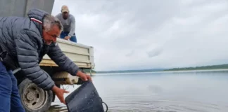 Зарибиха язовир „Огоста“ с над един тон малки рибки