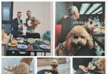 Пеевски изпрати в МВР, прокуратурата и ДАНС доклада на комисията за „Пуделгейт“