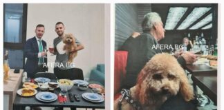 Пеевски изпрати в МВР, прокуратурата и ДАНС доклада на комисията за „Пуделгейт“