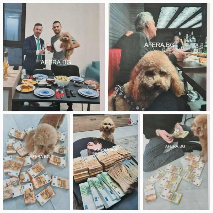 афера-рашков