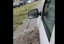 Проливен дъжд се изля във Варна – наводнени са пътища, има пропаднали коли (ВИДЕО)