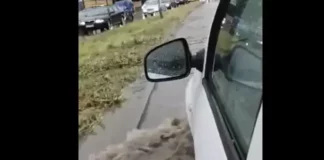 Проливен дъжд се изля във Варна – наводнени са пътища, има пропаднали коли (ВИДЕО)