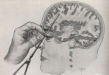 Сякаш някой е направил лоботомия на феновете на ПП/ДБ