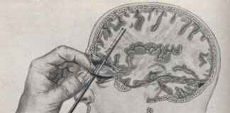 Сякаш някой е направил лоботомия на феновете на ПП/ДБ