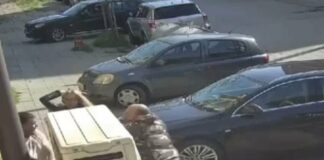 От разследващия журналист Димитър Стоянов става добър коментатор на кикбокс – ето как увлекателно описва „мача“ си с данъчния