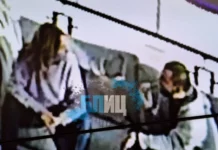 Записи на разговори: Банкова се консултира със Стефан Димитров за промени в митниците, а той посочил кой на кое място да бъде назначен