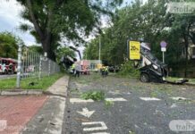 Джип се разцепи след удар в дървета, загинаха двама младежи