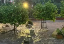 Разчистват щетите в Плевен след снощния порой