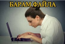 Документни престъпления и Лена Бориславова