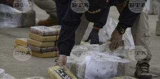 320 кг кокаин, скрит в контейнери със скариди, са открили на гръцко пристанище