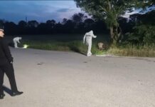 Българска проститутка е простреляна в гърдите на шосето в Италия