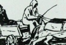 Когато числата говорят, и Андрешковците трябва да мълчат