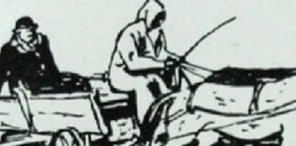 Когато числата говорят, и Андрешковците трябва да мълчат