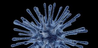 Атакува ни нов парвовирус, известен още като вирус „на шамара“