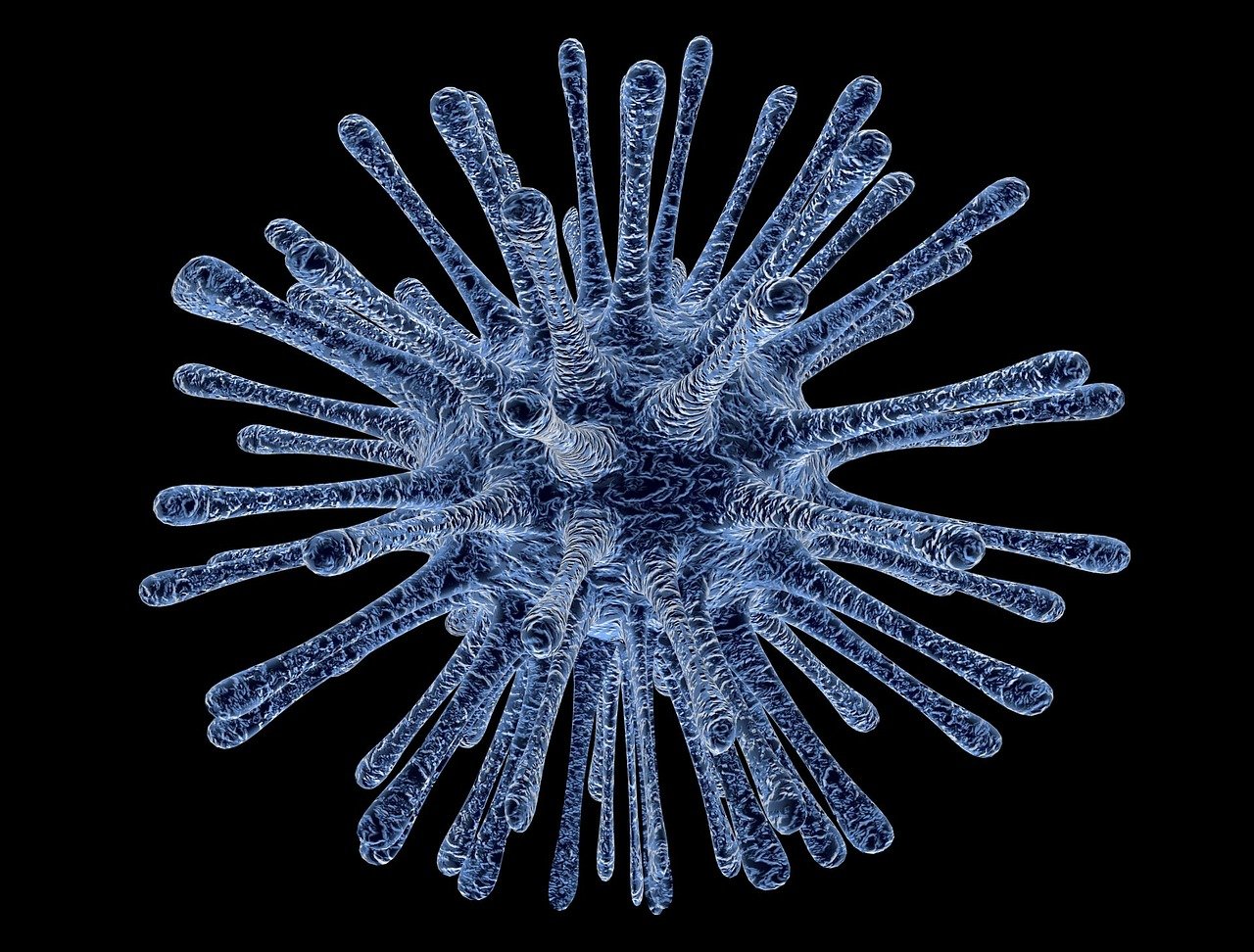 Нов вирус започва да циркулира в страната ни Парвовирус B19