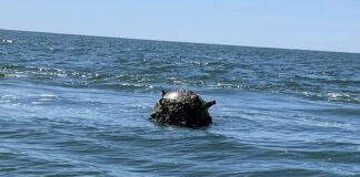 Мина е открита в Черно море в района на Паша дере