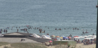 Милошев: До 2-3 дни в морето край Кранево ще може да се плува без ограничения