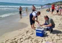 Отпадат ограниченията за къпане в морето край Кранево