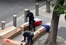 Защо българин постави пет ковчега пред Айфеловата кула