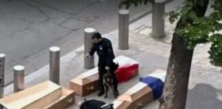 Защо българин постави пет ковчега пред Айфеловата кула