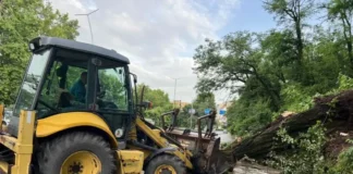 Стотици абонати край Ловеч остават без ток след бурята