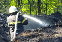 Горският пожар в Кърджалийско обхвана 500 декара
