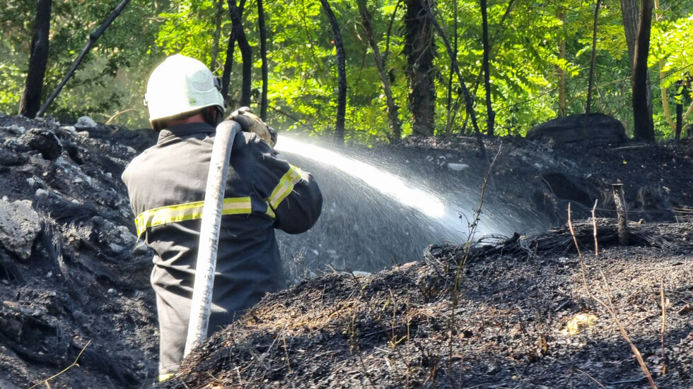 Голям пожар бушува между варненските села Игнатиево и Доброглед информираха