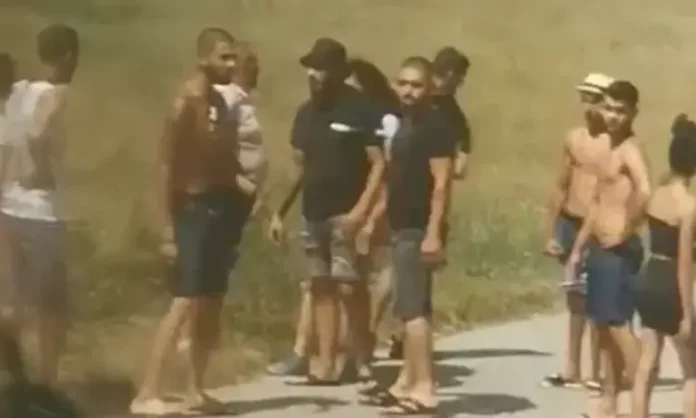 articles__154714738c3c0a6bc6b91927e0f438c5