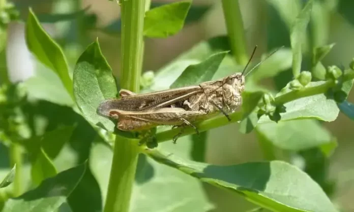 articles__215fb1ee1a30a91567a9268b2cd389ab