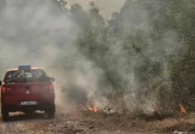 Пожарът в Сакар се разрасна до близо 10 хиляди декара