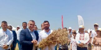 Жътвата започна, над 6 млн. тона е очакваната реколта от пшеница