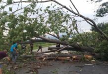 Паднали дървета и отнесен покрив на детска градина в Казанлъшко