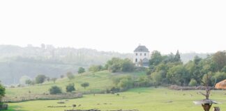 Столичният зоопарк с вход свободен за всички в Деня на детето