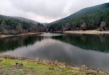 Млад мъж се удави в язовир край Ветрен