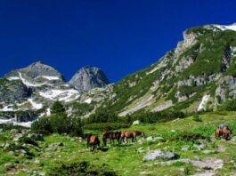 Мъж почина в долината на Мальовица