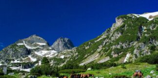 Мъж, обявен за издирване, бе намерен мъртъв на връх Мальовица