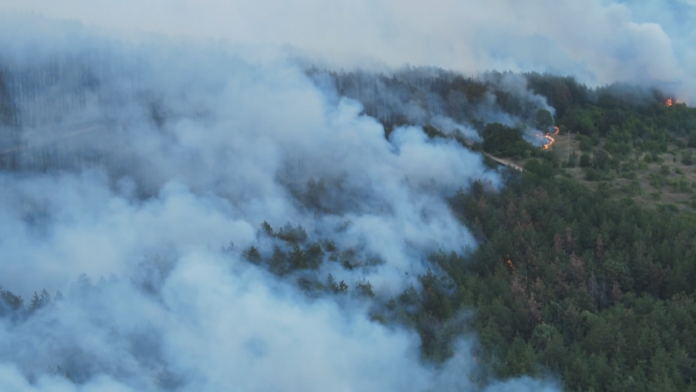 2dc63f21e305ce1bc37cdf0f7fcc9a7b