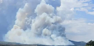 Два хеликоптера на ВВС се включват в гасенето на пожарите в Сакар