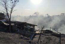 Пожарът край Харманли е овладян