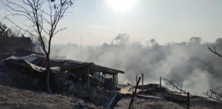 Пожарът край Харманли е овладян