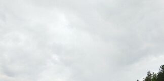 Аварирала цистерна затвори пътя Разград-Попово