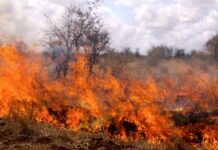 Голям пожар избухна край Карнобат