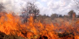 Пламна и военният полигон „Корен“ над хасковското село Брягово