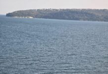 Хванахте се на въдицата на политическия тарикатлък