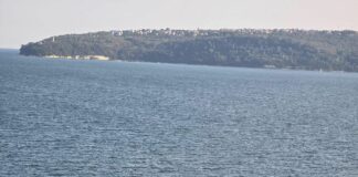 Хванахте се на въдицата на политическия тарикатлък