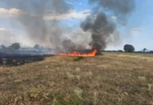 Пожар в покрайнините на Белослав стигна до няколко къщи