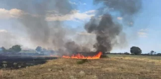Тракторист предизвика пожар край Стрелча